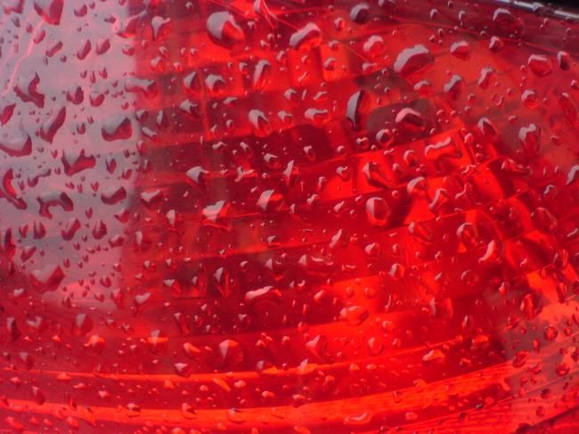 Photography titled "Red Drops" by Isabelle Deflandre, Original Artwork