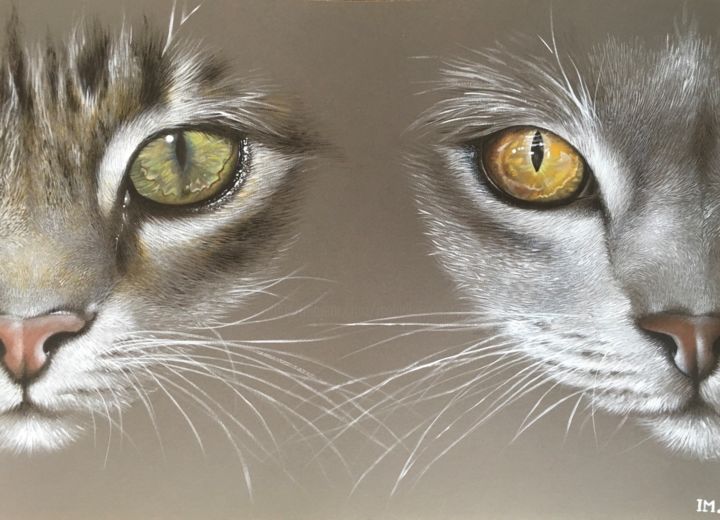 Painting titled "Double cat’s eyes" by Isabelle Molinard, Original Artwork, Acrylic