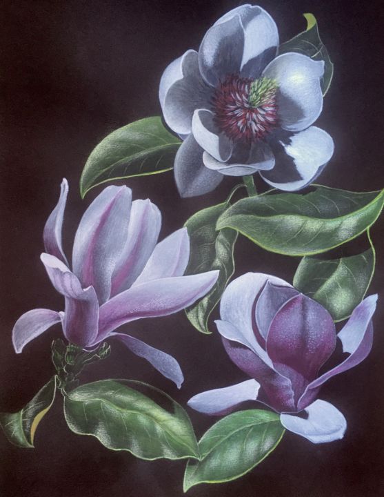Painting titled "Magnolias fleurs" by Isabelle Molinard, Original Artwork, Acrylic