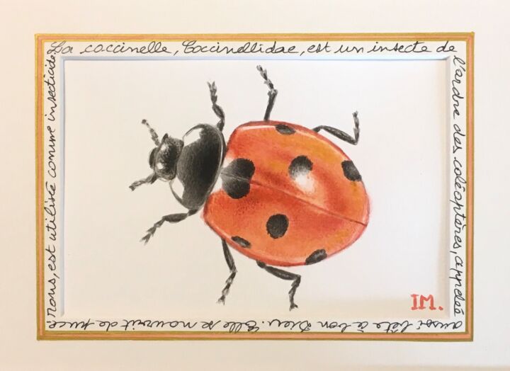 Painting titled "Coccinelle" by Isabelle Molinard, Original Artwork, Watercolor