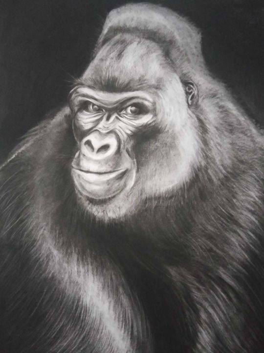 图画 标题为“Gorille au Fusain” 由Virginie Isfaoui, 原创艺术品, 木炭