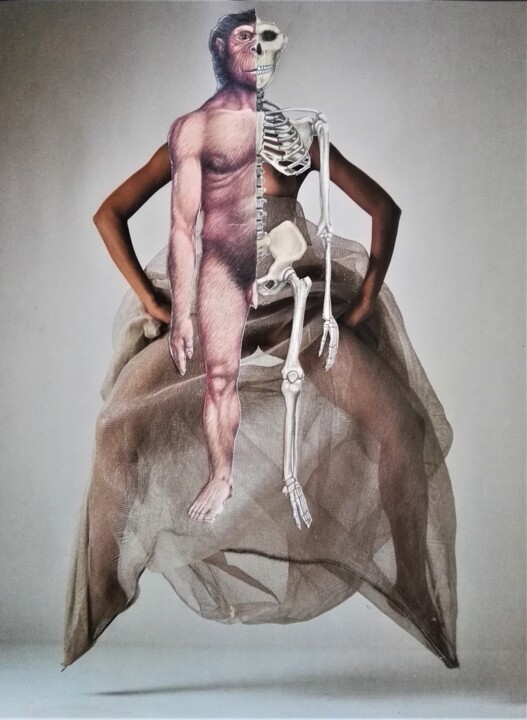 Collages intitolato "Homo Sapiens." da Isra, Opera d'arte originale, Collages