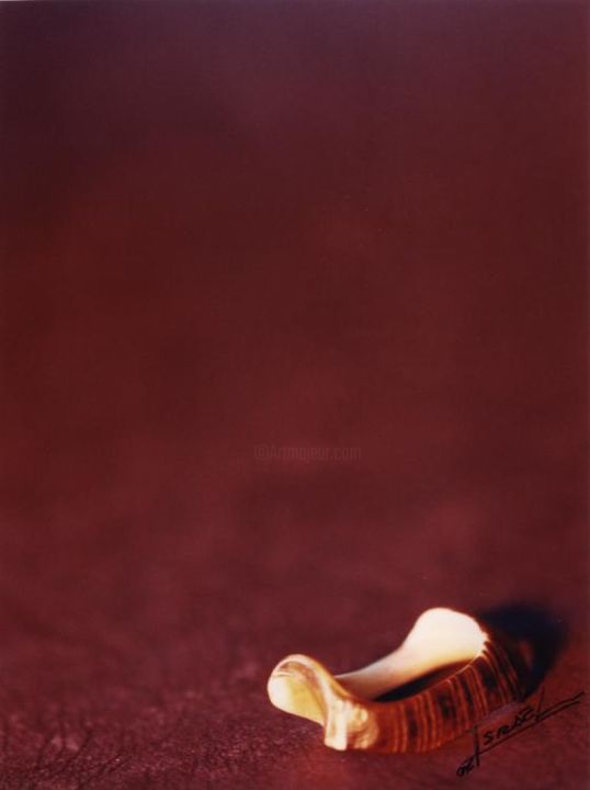 Fotografía titulada "Lo rojo del caracol" por Israel Valdes Huerta, Obra de arte original