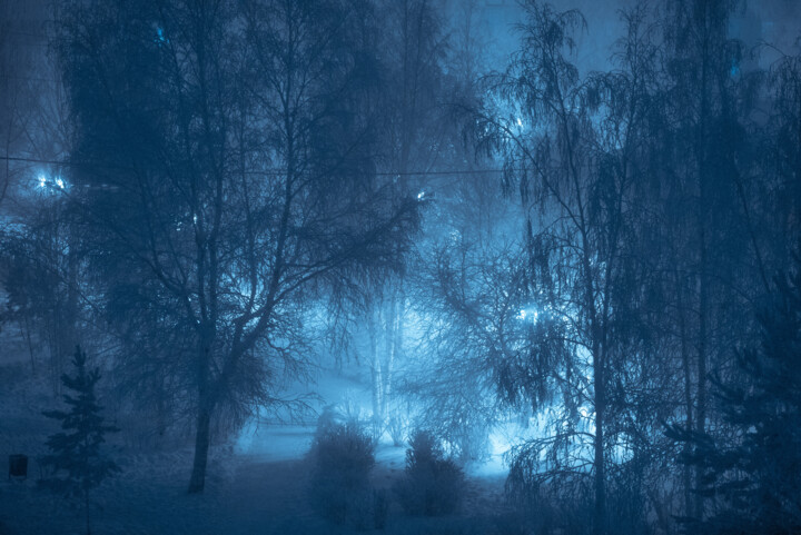 "Frozen winter park." başlıklı Fotoğraf Iurii Baklykov tarafından, Orijinal sanat, Dijital Fotoğrafçılık