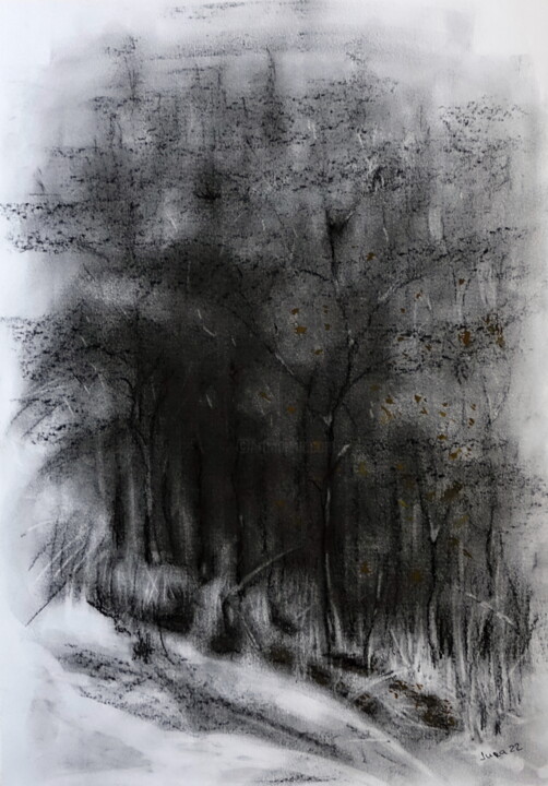 Рисунок под названием "Forêt d'hiver" - Iurii Zaika, Подлинное произведение искусства, Древесный уголь