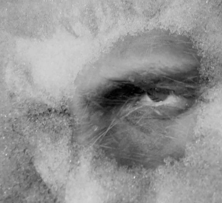 Photography titled "Ice eye" by Iva Geo, Original Art, Analog photography
