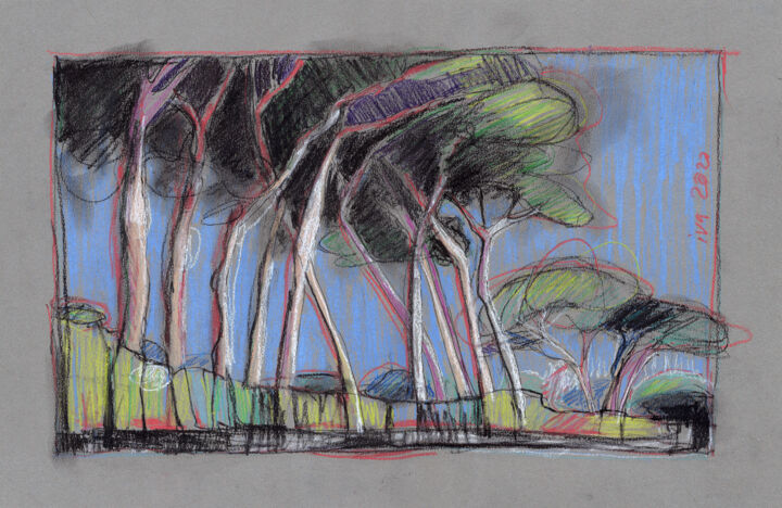 Dessin intitulée "Pins parasols de St…" par Tatiana Ivchenkova, Œuvre d'art originale, Crayon