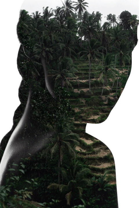 Photographie intitulée "Tropical Mask" par Ivan Cheremisin, Œuvre d'art originale, Photographie numérique