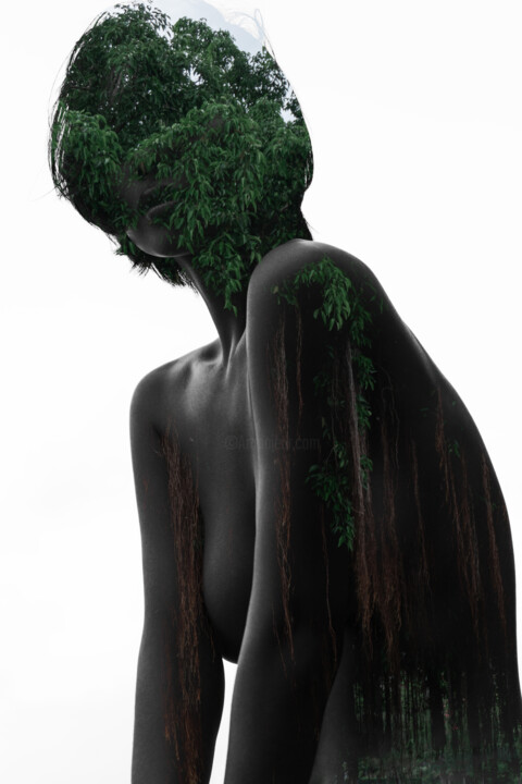 Фотография под названием "Hairy Tree" - Ivan Cheremisin, Подлинное произведение искусства, Цифровая фотография
