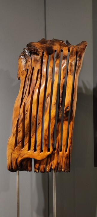Скульптура под названием "CERIDO" - Ivan Fabani, Подлинное произведение искусства, Дерево