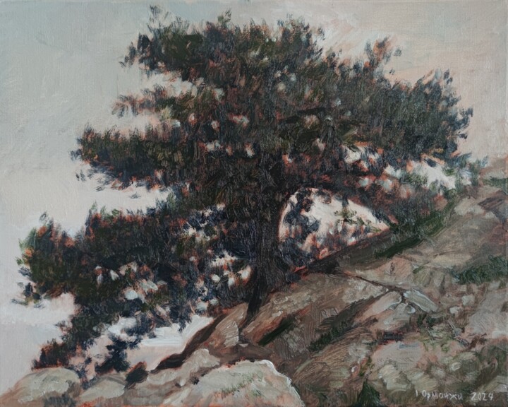 Painting titled "Crimean juniper" by Ivan Ormanzhi, Original Artwork, Oil