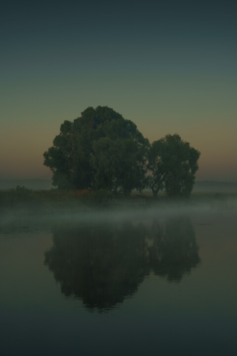 Photographie intitulée "Lonely tree by the…" par Ivan Ponomarevsky, Œuvre d'art originale, Photographie numérique