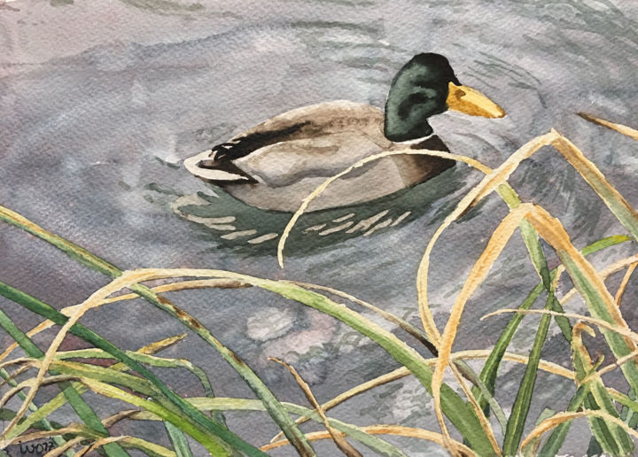 Peinture intitulée "Canard près de la r…" par Ivonick, Œuvre d'art originale, Aquarelle