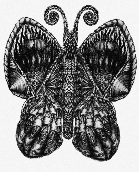 Dessin intitulée "Butterfly" par Iwona Nyka, Œuvre d'art originale, Stylo à bille
