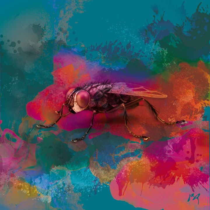 Digital Arts titled "FLY I" by J. Brobin, Original Art, 2D Digital Work Mounted on Stretcher frame