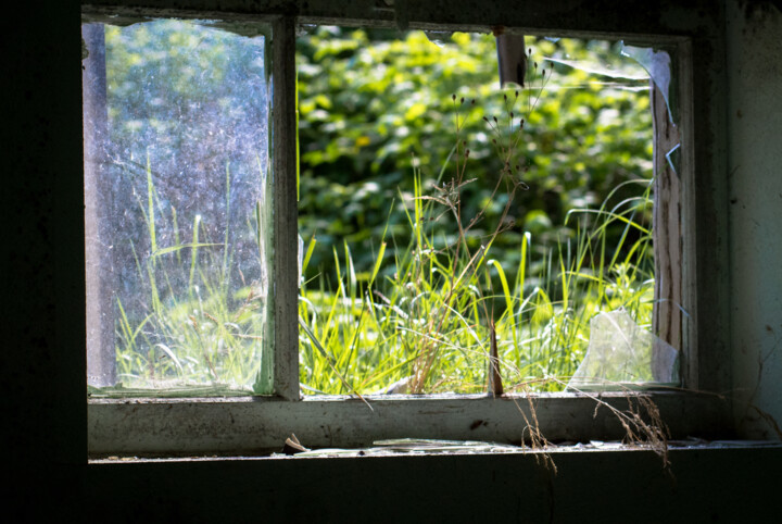 "broken window" başlıklı Fotoğraf J.D. Curry tarafından, Orijinal sanat