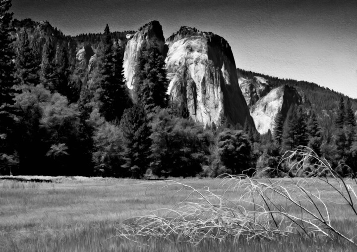 Photography titled "Sentinal Meadow Yos…" by John Pingree, Original Artwork, Digital Photography