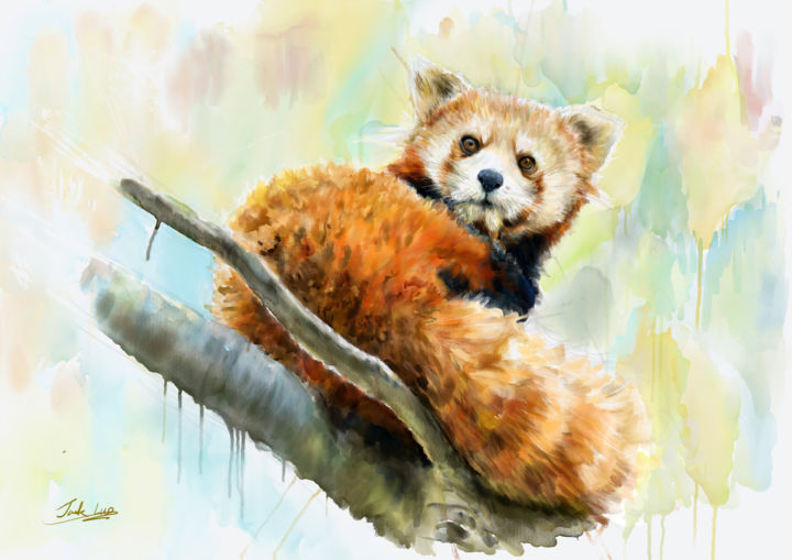 Painting titled "A Chinese red panda…" by Jack Luo, Original Artwork, Watercolor