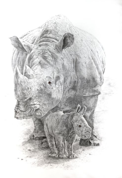 Rysunek zatytułowany „Rhinocéros blanc” autorstwa Jacek Ciecierski, Oryginalna praca, Ołówek
