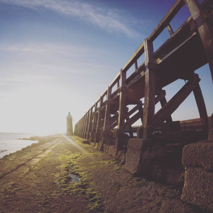 Fotografía titulada "les landes 2015" por Jacques Veinante (jackart), Obra de arte original