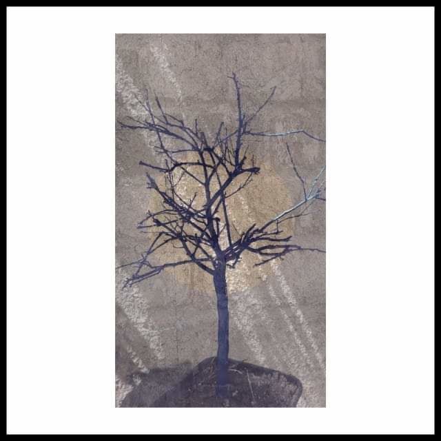 Цифровое искусство под названием "L'arbre seul..." - Jacky Patin, Подлинное произведение искусства