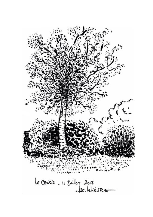 Drawing titled "Arbre" by Jacques Lelievre, Original Artwork, Ink