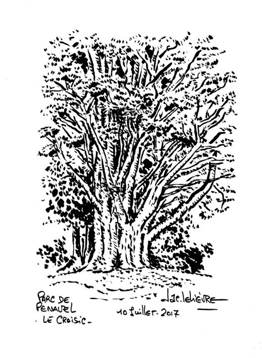 Drawing titled "Pen-avel au Croisic" by Jacques Lelievre, Original Artwork, Ink