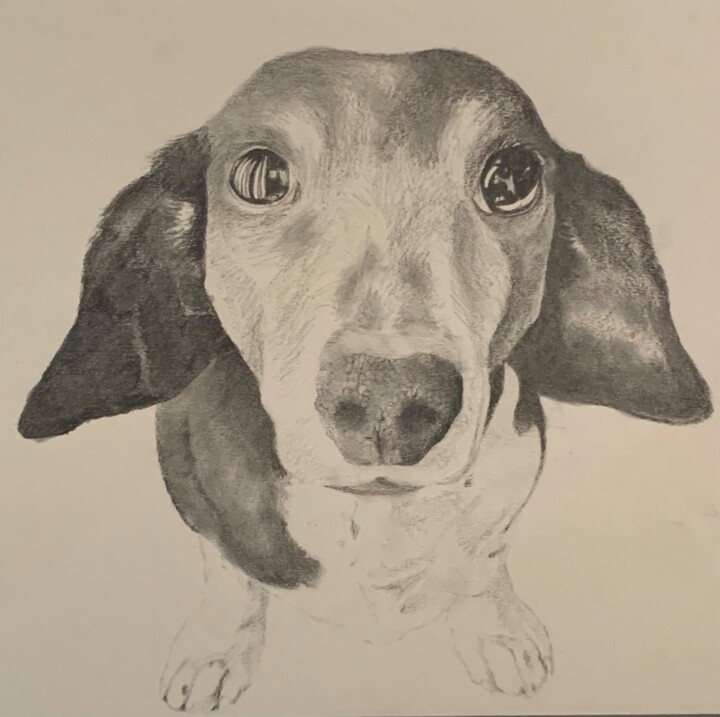 Drawing titled "Wise" by Jacob Haws, Original Artwork, Charcoal