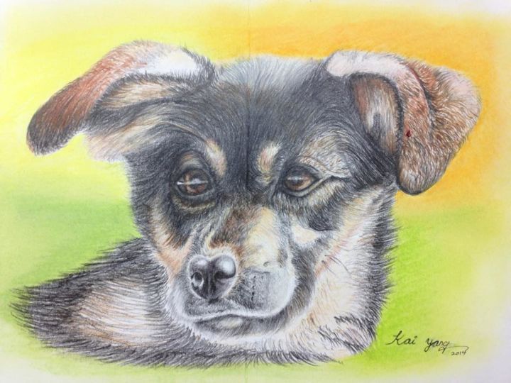 Drawing titled "Dog" by Jacob Tham Kai Yang, Original Artwork, Pencil