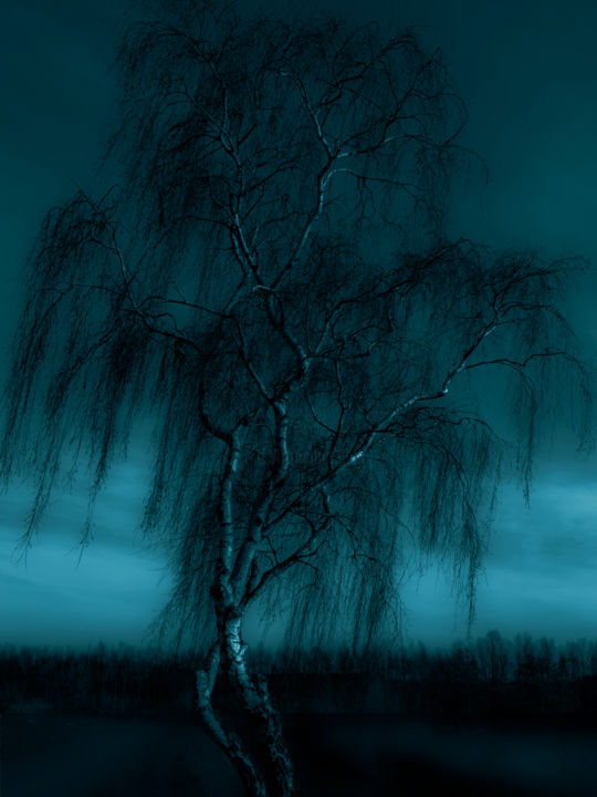 Photography titled "dancing trees" by Jacq Christiaan, Original Artwork, Digital Photography