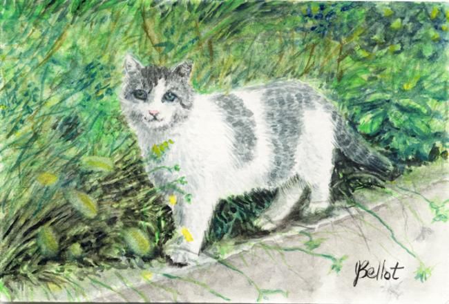 Peinture intitulée "Chat sur le muret" par Jacqueline Bellot, Œuvre d'art originale, Huile