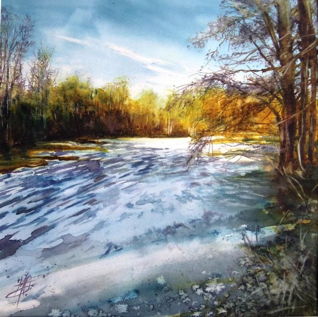 Painting titled "Les Marais des Bass…" by Marie-Claude Jacquemard, Original Artwork, Oil