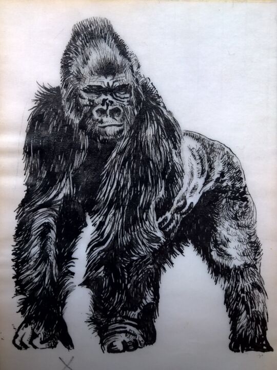 Drawing titled "Mister GORILLA - wp…" by Jacques Jégo, Original Artwork, Ink