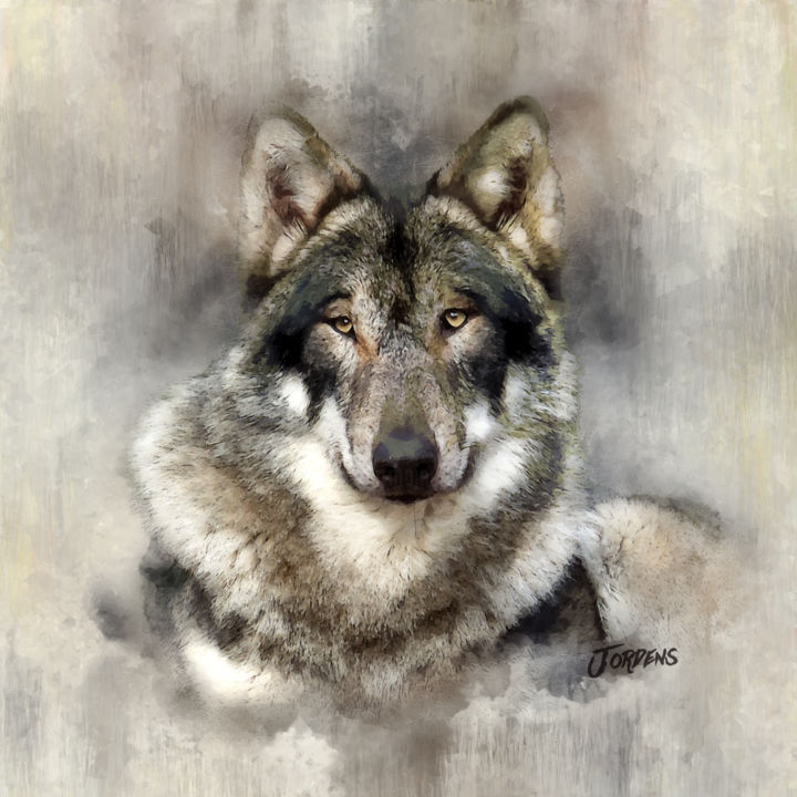Digital Arts titled "2018-8-28-wolf-2.jpg" by Jacques Jordens, Original Artwork, 2D Digital Work