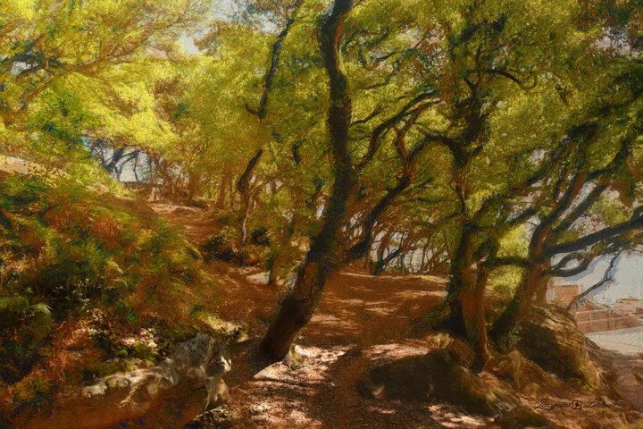 Fotografía titulada "Bois de la chaize.…" por Jacques Lateur, Obra de arte original, Fotografía digital