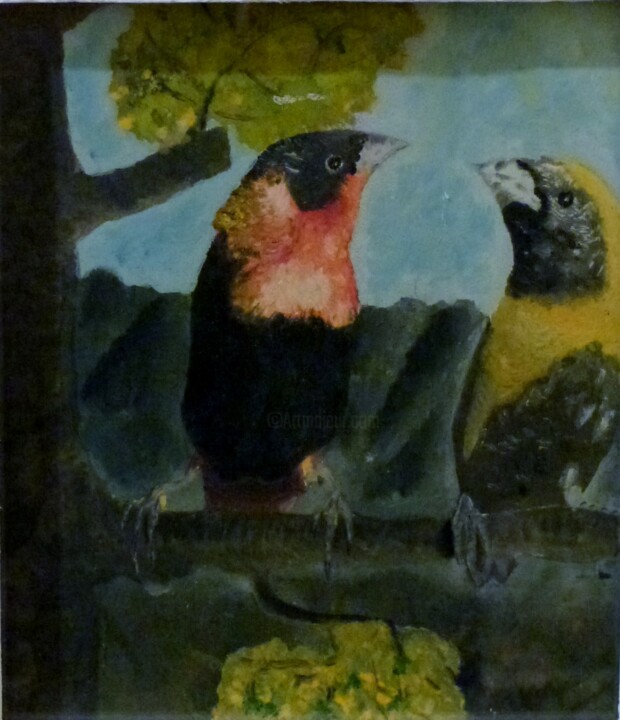 Pintura intitulada "les oiseaux" por Jacques Marpaux, Obras de arte originais, Guache