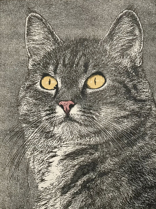 Printmaking titled "Chat" by Jacky Rouget, Original Artwork, Lithography