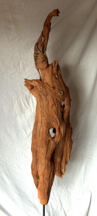 雕塑 标题为“garonne” 由Jacques Stauffert, 原创艺术品, 木