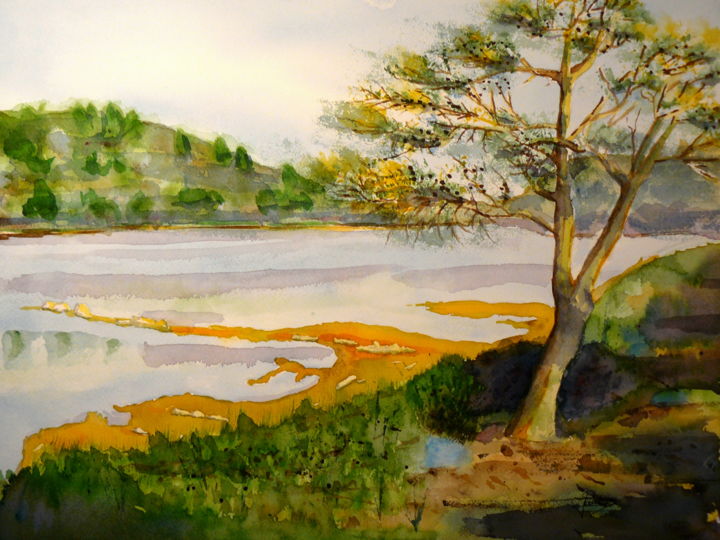 Painting titled "Etang du Doul" by Jacques Paulus, Original Artwork, Watercolor