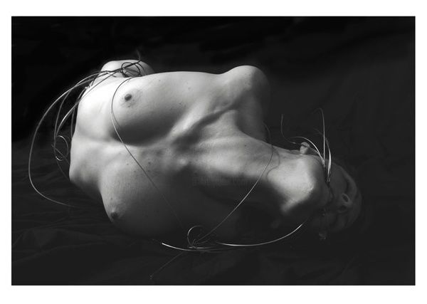 Photographie intitulée "Heather Bound" par Jacques Maudy, Œuvre d'art originale