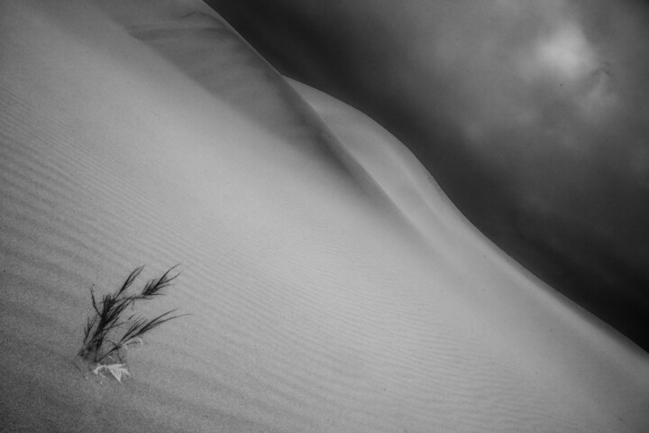 Фотография под названием "Barren Lands" - Jade Holing, Подлинное произведение искусства, Цифровая фотография
