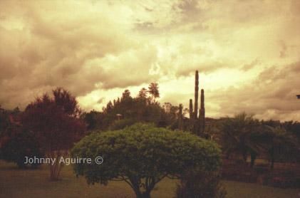 Photographie intitulée "San Roque" par Johnny Aguirre, Œuvre d'art originale