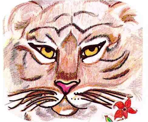 Drawing titled "My tiger" by Jamie Warren, Original Artwork, Other