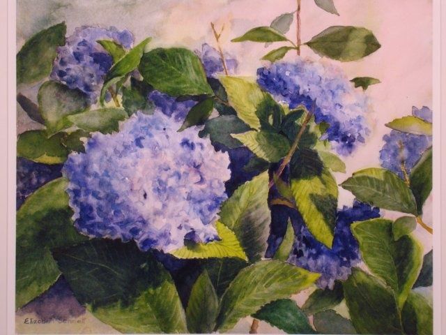Painting titled "Blue Hydrangeas" by Elizabeth Sennett, Original Artwork, Oil