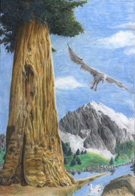 Drawing titled "Tree and bird" by Jakob Sørensen, Original Artwork, Other