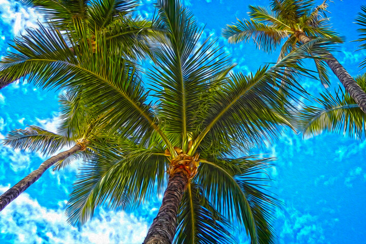 Digital Arts titled "Palms in the Sky" by James Morris, Original Artwork, Manipulated Photography