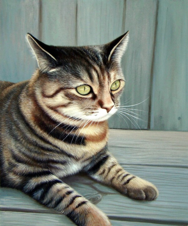 Painting titled "Portrait pet cat 002" by James Shang, Original Artwork, Oil Mounted on Wood Stretcher frame