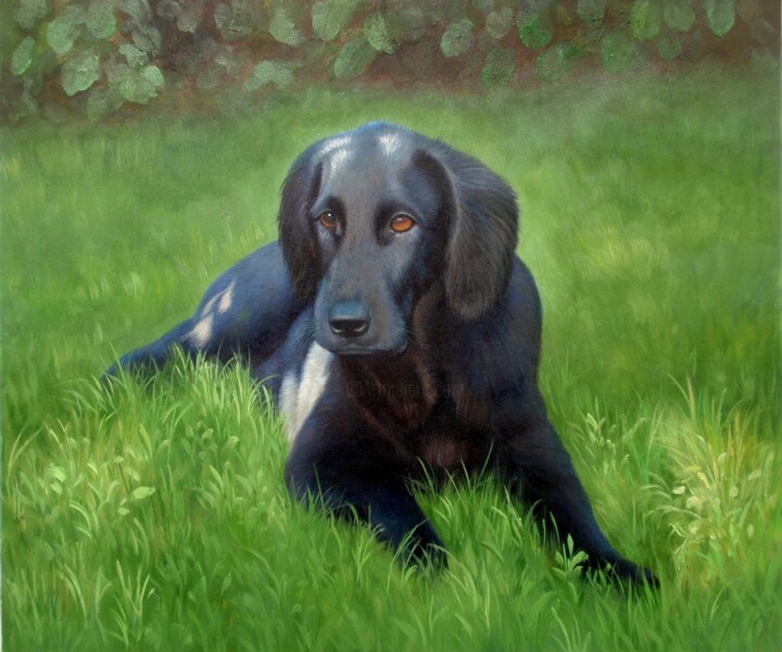 Painting titled "Portrait pet Dog 005" by James Shang, Original Artwork, Oil Mounted on Wood Stretcher frame