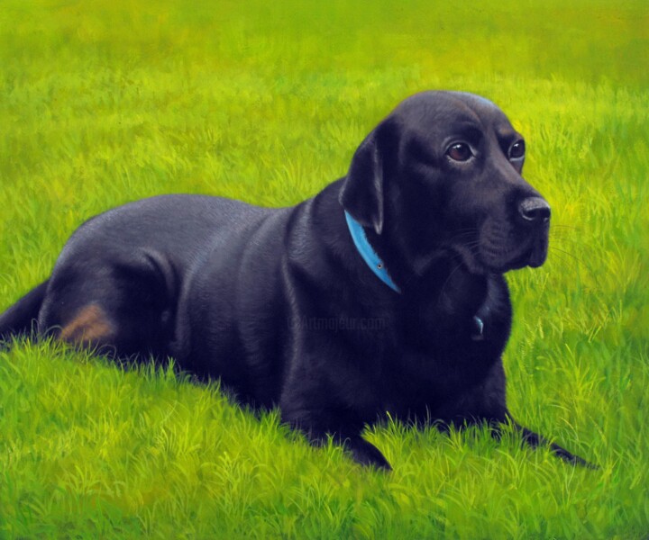 Painting titled "Portrait pet dog 015" by James Shang, Original Artwork, Oil Mounted on Wood Stretcher frame
