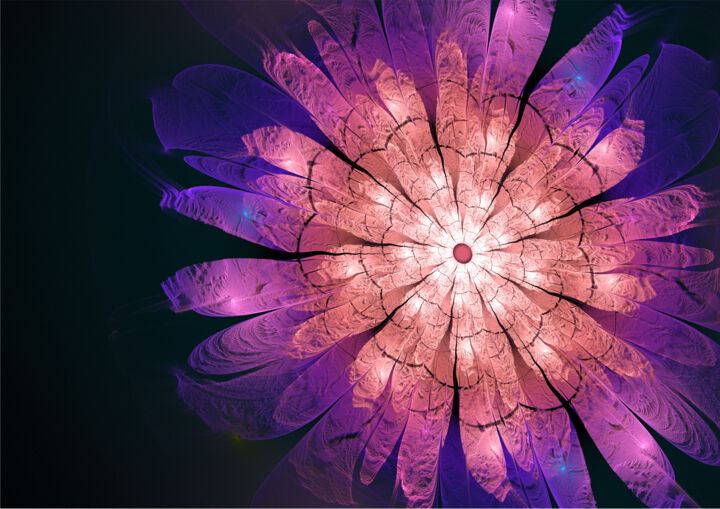 Digital Arts titled "Pink Flower" by James Shaw, Original Artwork, Digital Painting